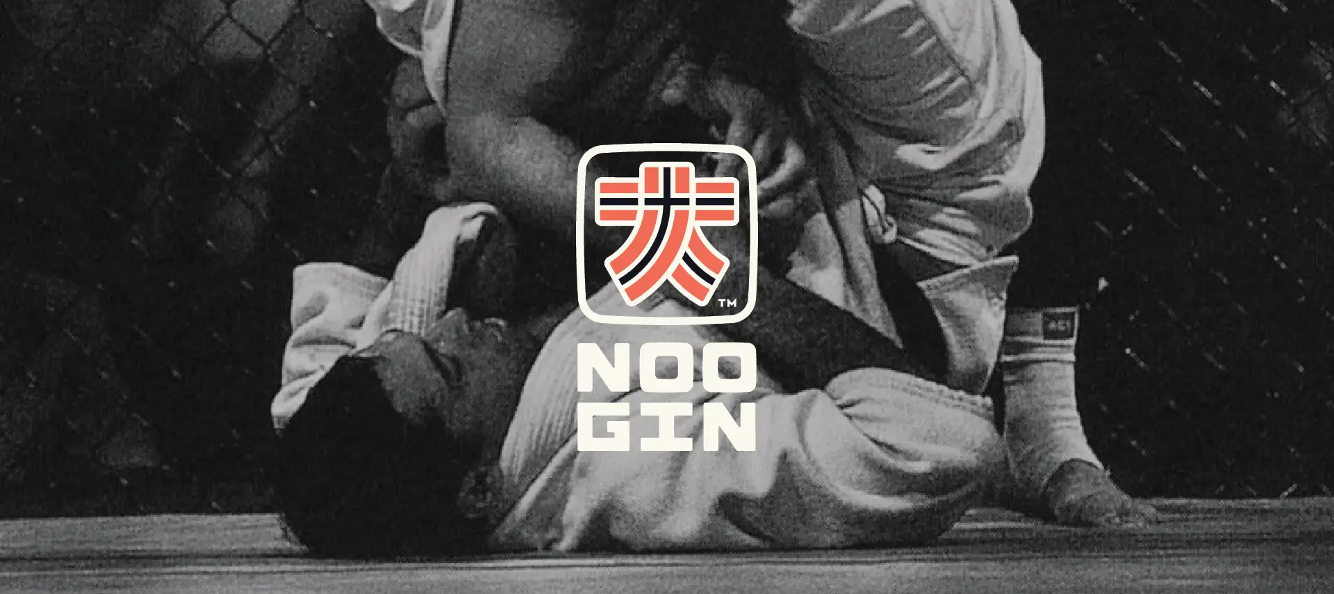 The Noogin Brand project artwork